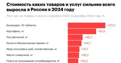 категории товаров с наибольшей инфляцией в 2024 _