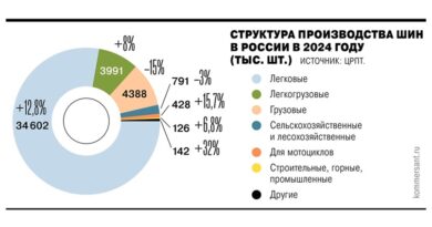 шины 2024 _