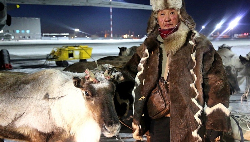 18 оленей доставил почтовый рейс из Тикси в Якутск(1)_фото пресс-службы ... _