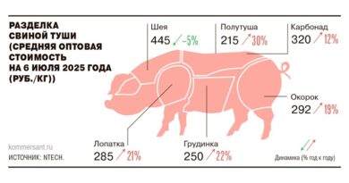 свинина Россия цены _