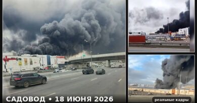 Садовод пожар 3_