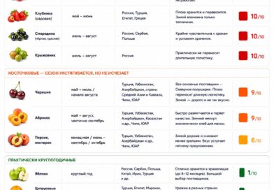 Сезон ещё существует: какие фрукты и ягоды в России пока невозможно сделать круглогодичными