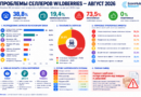 Проблемы селлеров Wildberries — август 2026: товар потерян, деньги зависли, доверие падает