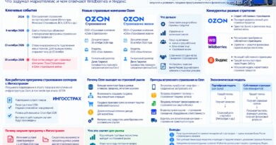 Ozon создал сразу две страховые компании. Но кто теперь защитит товары продавцов от БПЛА?
